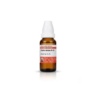 Pareira Brava 20ml mother tincture bottle or pack on white background