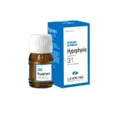 L-31 Hypophysis Complex 30 ml Drops by Lehning Laboratories, product package on white background