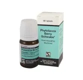 Phytolacca Berry 80 Tablets by Dr. Willmar Schwabe, product packaging on a white background
