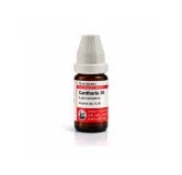 Cantharis 10ml homeopathic dilutions and mother tincture bottle or pack on white background