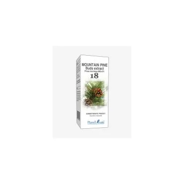 Mountain Pine Buds Extract product packaging on a white background