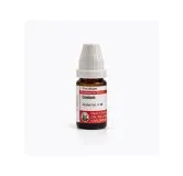 Conium 10ml homeopathic dilutions and mother tincture bottle or pack on white background
