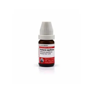 Berberis Aquif 10ml homeopathic dilutions and mother tincture bottle or pack on white background