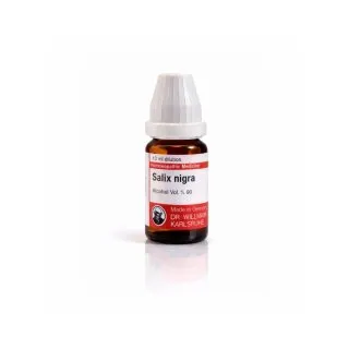 Salix Nigra 10ml liquid homeopathic dilution bottle or pack on white background