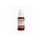 Berberis Vulgaris mixed pack formats homeopathic dilutions and tablets bottle or pack on white background