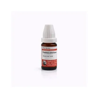 Fraxinus Americana 10ml homeopathic dilutions and mother tincture bottle or pack on white background