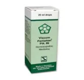 Viscum Pentarkan Ptk. 89 20ml Drops by Dr. Willmar Schwabe, original homeopathic packshot on white background