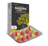 SHADAN FORTE CAPSULES 10 capsules, Kamal Laboratories product pack on a white background