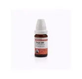 Thuja Occidentalis 10ml homeopathic dilutions and mother tincture bottle or pack on white background
