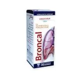 Broncal Syrup by Dr. Masood, original product packaging on a white background