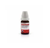 Berberis Aquif 10ml homeopathic dilutions and mother tincture bottle or pack on white background