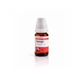 Spongia 10ml liquid homeopathic dilution bottle or pack on white background