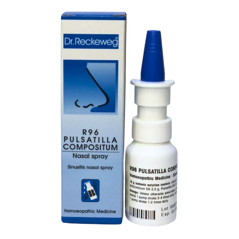 R96 Sinusitis Nasal Spray by Dr. Reckeweg, 15ml pack