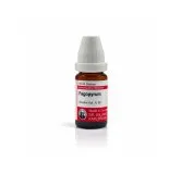 Fagopyrum 10ml liquid homeopathic dilution bottle or pack on white background