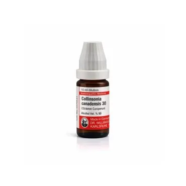 Collinsonia Canadensis 10ml homeopathic dilutions and mother tincture bottle or pack on white background
