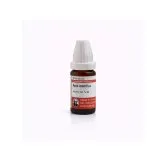 Apis Mellifica 10ml homeopathic dilutions and mother tincture bottle or pack on white background