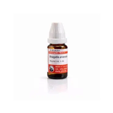 Anagallis Arvensis 10ml liquid homeopathic dilution bottle or pack on white background