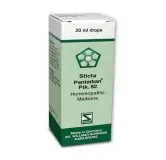 Sticta Pentarkan Ptk. 82 20ml Drops by Dr. Willmar Schwabe, original homeopathic packshot on white background