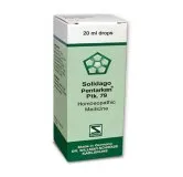 Solidago Pentarkan Ptk. 79 20ml Drops by Dr. Willmar Schwabe, original homeopathic packshot on white background