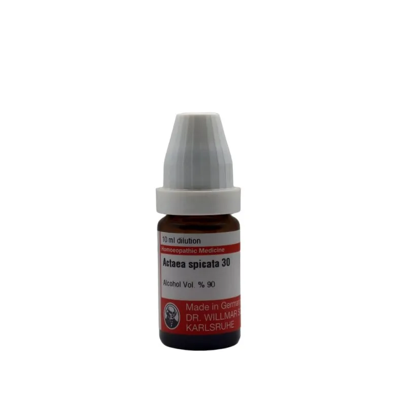 Actea Spicata 10ml homeopathic dilutions and mother tincture bottle or pack on white background