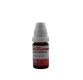Actea Spicata 10ml homeopathic dilutions and mother tincture bottle or pack on white background