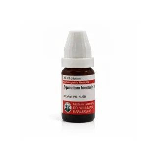 Equisetum Hiemale 10ml homeopathic dilutions and mother tincture bottle or pack on white background