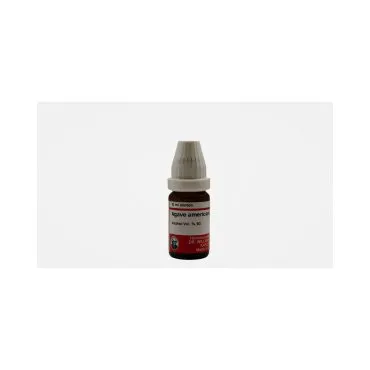 Agave Americana 10ml liquid homeopathic dilution bottle or pack on white background