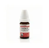 Cimicifuga Racemosa 10ml homeopathic dilutions and mother tincture bottle or pack on white background