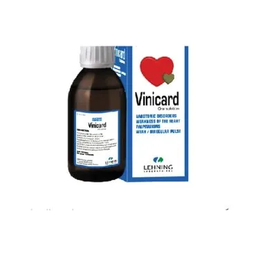 Vinicard 250 ml Syrup by Lehning Laboratories, product package on white background