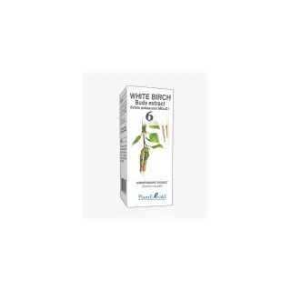 White Birch Buds Extract product packaging on a white background