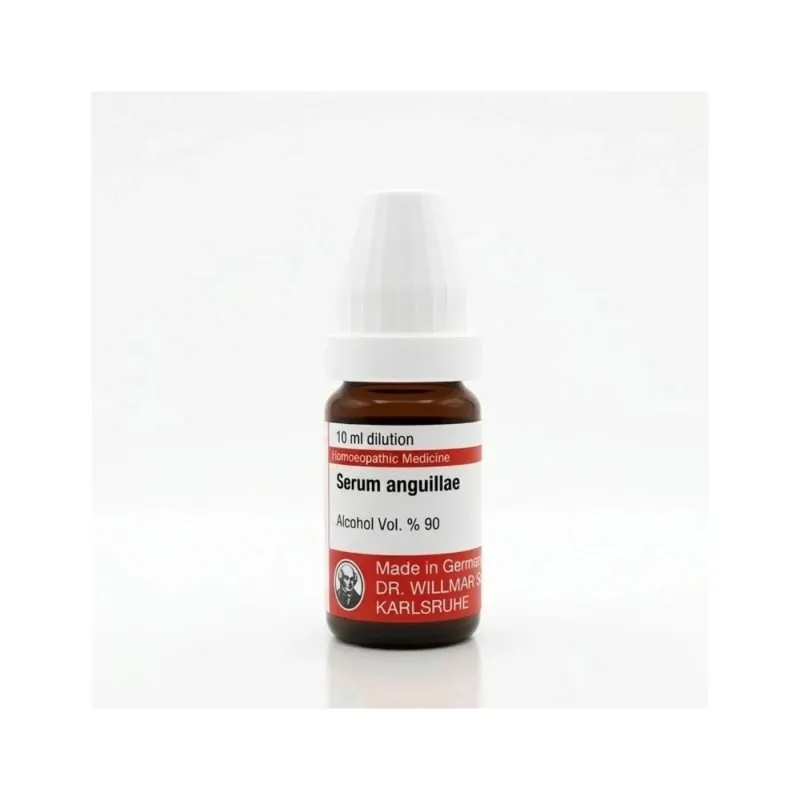 Serum Anguillae - Aalserum 10ml liquid homeopathic dilution bottle or pack on white background