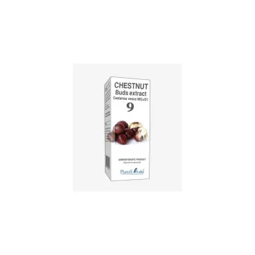 Chestnut Buds Extract product packaging on a white background