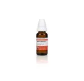 Allium Sativum - Allium Sativa 10ml homeopathic dilutions and mother tincture bottle or pack on white background