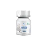 Calcarea Flouricum by Dr Zia Pharma, product pack centered on a white background