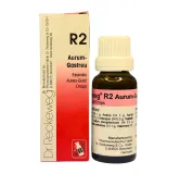 R2 Aurum-Gastreu 22ml homeopathic drops by Dr. Reckeweg, bottle and carton