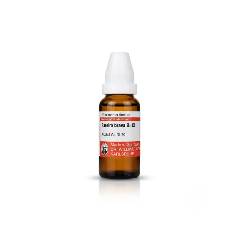 Pareira Brava 20ml mother tincture bottle or pack on white background