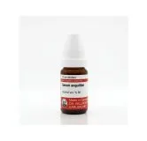 Serum Anguillae - Aalserum 10ml liquid homeopathic dilution bottle or pack on white background