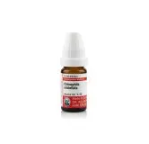 Chimaphila Umbellata 10ml homeopathic dilutions and mother tincture bottle or pack on white background