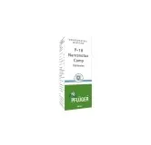 P-18 Nanranotox Comp (Echinacea) by Pflüger, product carton centered on a white background