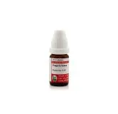 Fragaria Vesca 10ml homeopathic dilutions and mother tincture bottle or pack on white background