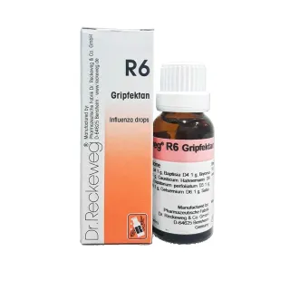 R6 Influenza Drops by Dr. Reckeweg, 22ml pack