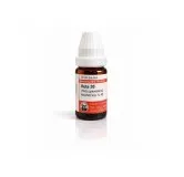 Ruta 10ml homeopathic dilutions and mother tincture bottle or pack on white background
