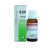 R29 Vertigo Drops by Dr. Reckeweg, 22ml pack