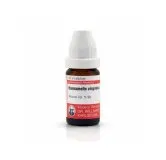 Hamamelis Virginica 10ml homeopathic dilutions and mother tincture bottle or pack on white background