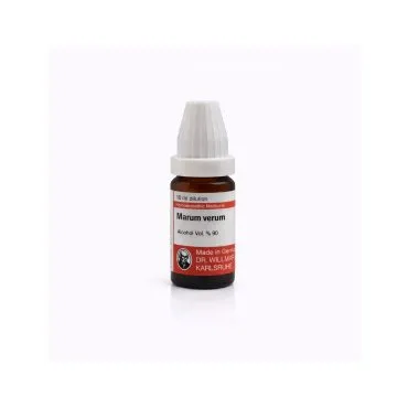 Teucrium Marum Verum 10ml homeopathic dilutions and mother tincture bottle or pack on white background
