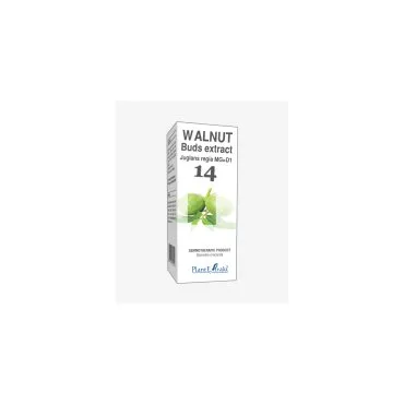 Walnut Buds Extract product packaging on a white background