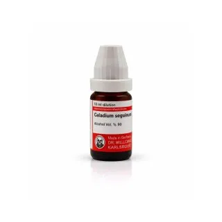 Caladium Seg 10ml liquid homeopathic dilution bottle or pack on white background