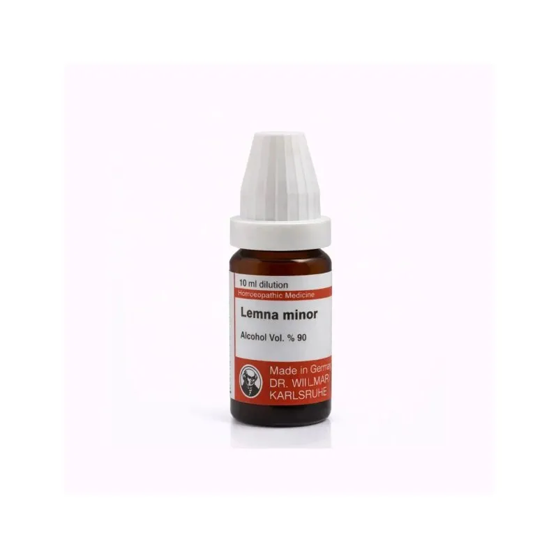 Lemna Minor 10ml homeopathic dilutions and mother tincture bottle or pack on white background