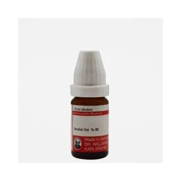 Galium Ap 10ml homeopathic dilutions and mother tincture bottle or pack on white background
