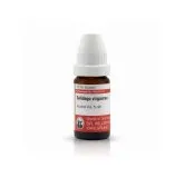 Solidago Virgaurea 10ml homeopathic dilutions and mother tincture bottle or pack on white background